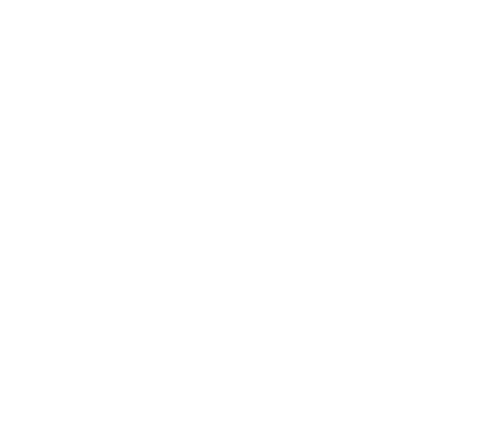 EAGLEKING